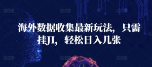 海外数据收集最新玩法，只需挂JI，轻松日入几张--皓收集 | 网创宝典