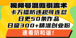 视频号混剪引流技术，500万播放引流17000创业粉，操作简单当天学会 --皓收集 | 网创宝典