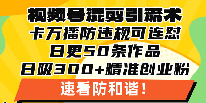 视频号混剪引流技术，500万播放引流17000创业粉，操作简单当天学会 -皓收集 | 网创宝典