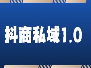 抖商服务私域1.0，抖音引流获客详细教学--皓收集 | 网创宝典
