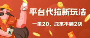 平台代拉新玩法，一单20，成本不到2快【揭秘】--皓收集 | 网创宝典
