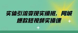 实体引流变现实操班，同城爆款短视频实操课--皓收集 | 网创宝典