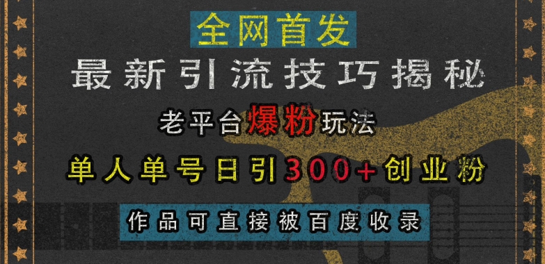 最新引流技巧揭秘，老平台爆粉玩法，单人单号日引300+创业粉，作品可直接被百度收录-皓收集 | 网创宝典