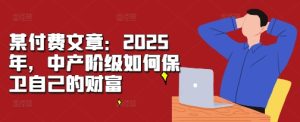 某付费文章：2025年，中产阶级如何保卫自己的财富--皓收集 | 网创宝典