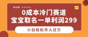 0成本冷门赛道，宝宝取名一单利润299，小白轻松月入过万--皓收集 | 网创宝典