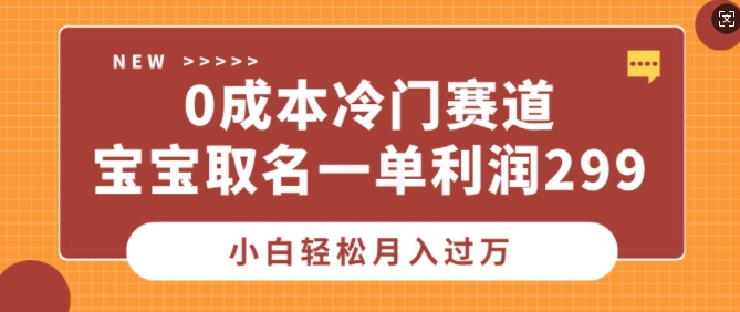 0成本冷门赛道，宝宝取名一单利润299，小白轻松月入过万-皓收集 | 网创宝典