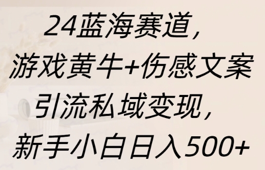 蓝海赛道，游戏黄牛+伤感文案引流私域变现，新手小白日入多张-皓收集 | 网创宝典