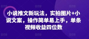 小说推文新玩法，实拍图片+小说文案，操作简单易上手，单条视频收益四位数--皓收集 | 网创宝典