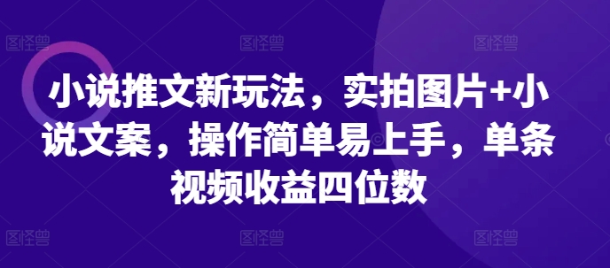 小说推文新玩法，实拍图片+小说文案，操作简单易上手，单条视频收益四位数-皓收集 | 网创宝典