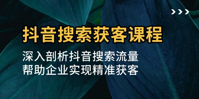 抖音搜索获客课程：深入剖析抖音搜索流量，帮助企业实现精准获客-皓收集 | 网创宝典