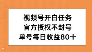 视频号开白任务，官方授权不封号，单号每天稳定收益80+--皓收集 | 网创宝典