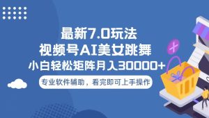 视频号最新7.0玩法，当天起号小白也能轻松月入30000+--皓收集 | 网创宝典