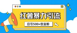 小红书引流创业粉玩法1分钟一个素材日引500+创业粉--皓收集 | 网创宝典