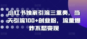 小红书独家引流三重奏，当天引流100+创业粉，流量爆炸不愁变现【揭秘】--皓收集 | 网创宝典