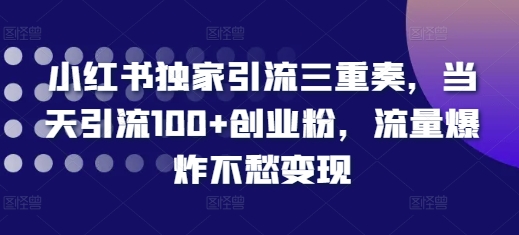 小红书独家引流三重奏，当天引流100+创业粉，流量爆炸不愁变现【揭秘】-皓收集 | 网创宝典