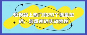 短视频上热门的20个流量密码，流量密码实战案例--皓收集 | 网创宝典