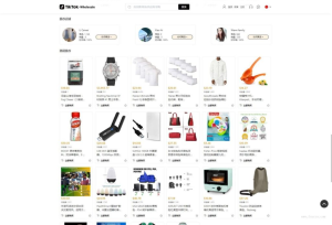 全开源TikTok跨境商城源码/TikTok内嵌商城 前端uniapp+后端--皓收集 | 网创宝典