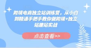 跨境电商独立站训练营，从小白到精通手把手教你做跨境+独立站建站实战--皓收集 | 网创宝典