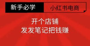 小红书零食共创【新手易上手】开个店铺，发发笔记把钱赚--皓收集 | 网创宝典