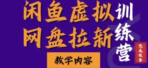 闲鱼虚拟网盘拉新训练营，两天快速人门，长久稳定被动收入，要在没有天花板的项目里赚钱--皓收集 | 网创宝典