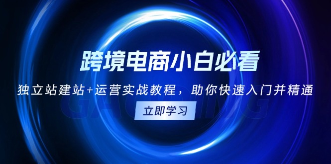 跨境电商小白必看！独立站建站+运营实战教程，助你快速入门并精通-皓收集 | 网创宝典