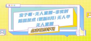 宝子哥·无人直播-非实时防风技术(更新11月)无人半无人直播--皓收集 | 网创宝典
