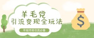 羊毛党引流变现全玩法，年轻市场引流必备--皓收集 | 网创宝典