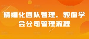 精细化团队管理，教你学会公司管理流程--皓收集 | 网创宝典