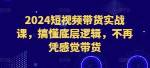 2024短视频带货实战课，搞懂底层逻辑，不再凭感觉带货--皓收集 | 网创宝典