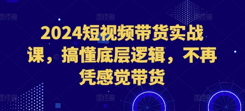 2024短视频带货实战课，搞懂底层逻辑，不再凭感觉带货-皓收集 | 网创宝典