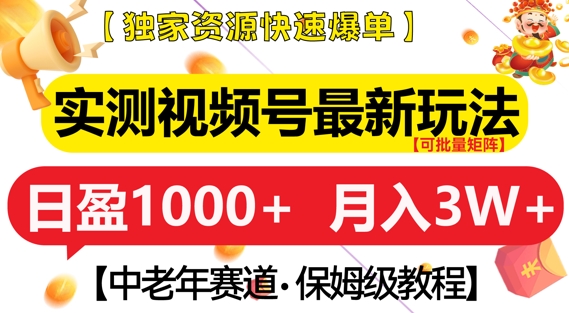 实测视频号最新玩法，中老年赛道，独家资源，月入过W+【揭秘】-皓收集 | 网创宝典