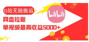 视频无脑搬运b站网盘拉新，单视频最高收益5k+【揭秘】--皓收集 | 网创宝典