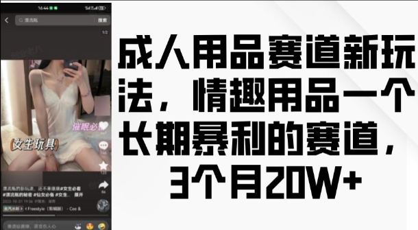 成人用品赛道新玩法，情趣用品一个长期暴利的赛道，3个月收益20个【揭秘】-皓收集 | 网创宝典