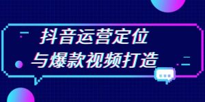 抖音运营定位与爆款视频打造：定位运营方向，挖掘爆款选题，提升播放量--皓收集 | 网创宝典