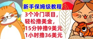 3个冷门项目，轻松撸美刀，1小时撸36刀，新手保姆级教程--皓收集 | 网创宝典