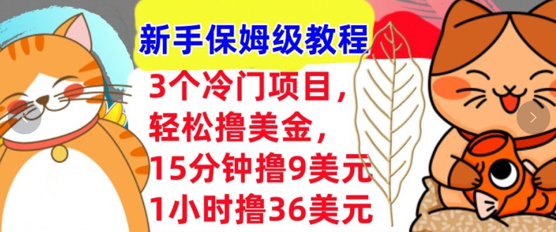 3个冷门项目，轻松撸美刀，1小时撸36刀，新手保姆级教程-皓收集 | 网创宝典