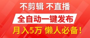 我出视频你来发，不剪辑，不直播，全自动一键代发，个位数播放都有收益，懒人必备!--皓收集 | 网创宝典