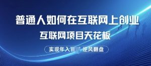 普通人如何在互联网上创业，互联网项目天花板，逆风翻盘--皓收集 | 网创宝典