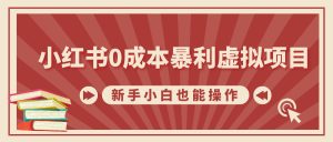 小红书0成本暴利虚拟项目，新手小白也能操作，轻松实现月入过W--皓收集 | 网创宝典