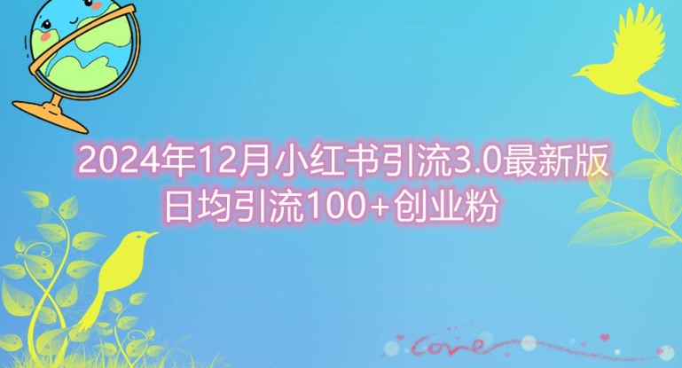 2024年12月小红书引流最新版，日均引流100+创业粉-皓收集 | 网创宝典