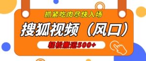 搜狐视频，新风口，1天200-500收益，抓紧吃肉!--皓收集 | 网创宝典