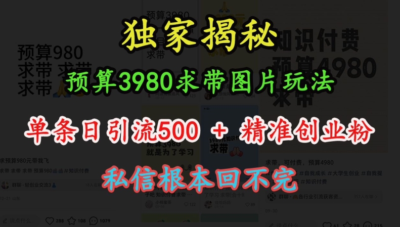 预算3980求带 图片玩法，单条日引流500+精准创业粉，私信根本回不完-皓收集 | 网创宝典