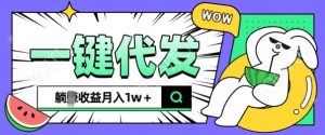 全新可落地项目，一键代发，躺Z收益get，月入1w+【揭秘】--皓收集 | 网创宝典