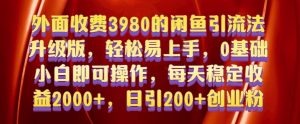 外面收费3980的闲鱼引流法，轻松易上手,0基础小白即可操作，日引200+创业粉的保姆级教程【揭秘】--皓收集 | 网创宝典