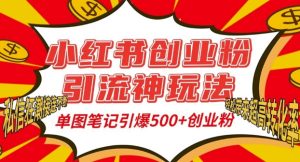 小红书创业粉引流神玩法，单图笔记引爆500+精准创业粉丝，私信狂潮接连不断--皓收集 | 网创宝典
