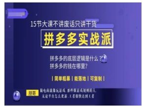 朋哥电商(拼多多实战派)，15节大课不讲废话只讲干货，简单粗暴 能落地 可复制--皓收集 | 网创宝典