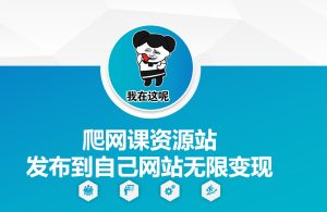 爬网课资源站发布到自己网站【揭秘】--皓收集 | 网创宝典