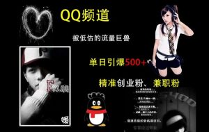 QQ频道：被低估的流量巨兽，单日引爆500+精准创业粉、兼职粉的引流秘籍--皓收集 | 网创宝典