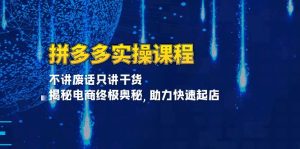 拼多多实操课程：不讲废话只讲干货, 揭秘电商终极奥秘,助力快速起店--皓收集 | 网创宝典
