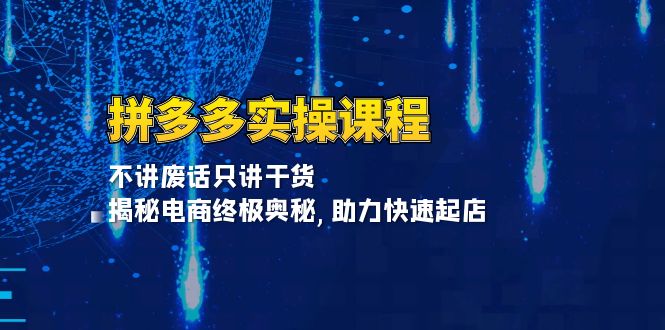 拼多多实操课程：不讲废话只讲干货, 揭秘电商终极奥秘,助力快速起店-皓收集 | 网创宝典